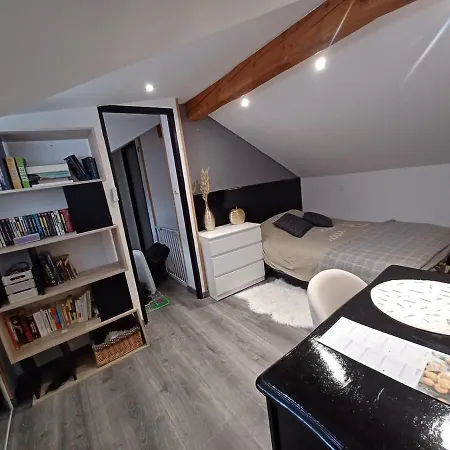 Maison Cosy En Plein Centre De 7 Personnes Et 1 Bebe Avec Patio * Saint-Flour (Cantal)