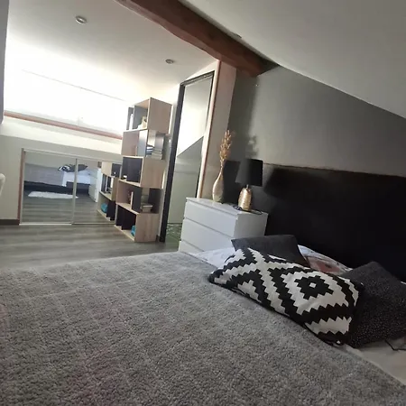 Charmante Maison Dans Le Centre Médiévale Saint-Flour (Cantal)